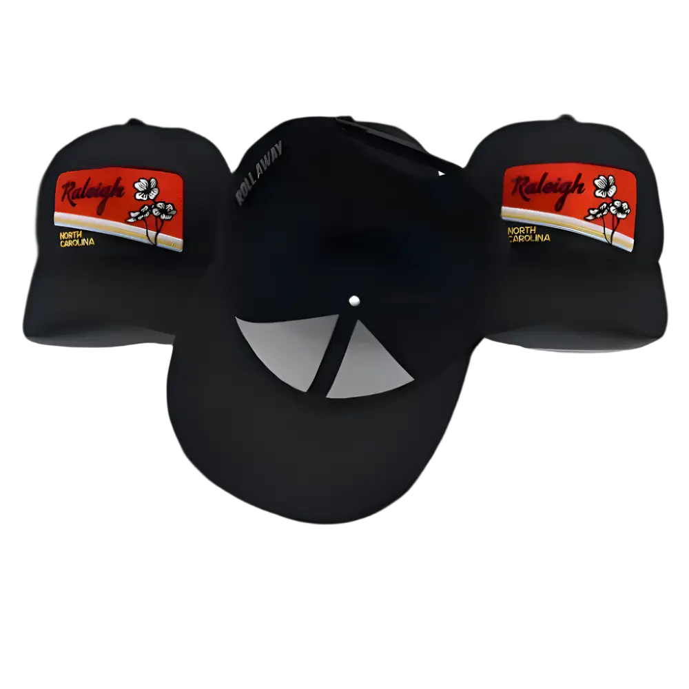 Raleigh  - Snapback Hat GenXRefined