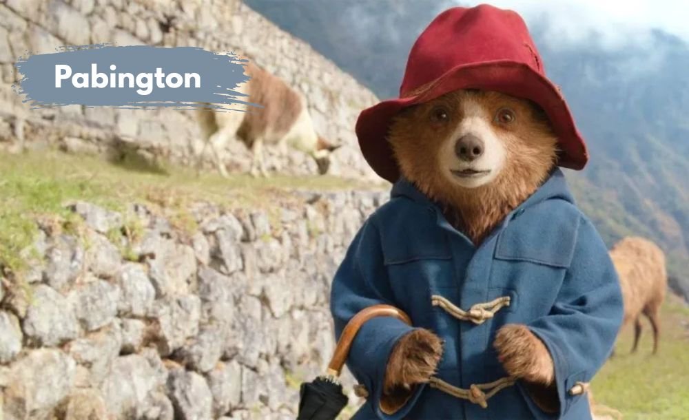 Pabington: A Comprehensive Guide to Its Charm and History